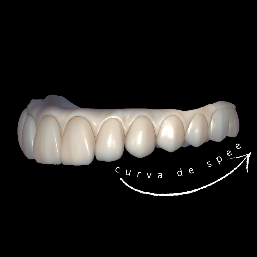 PROTOCOLO SUPERIOR