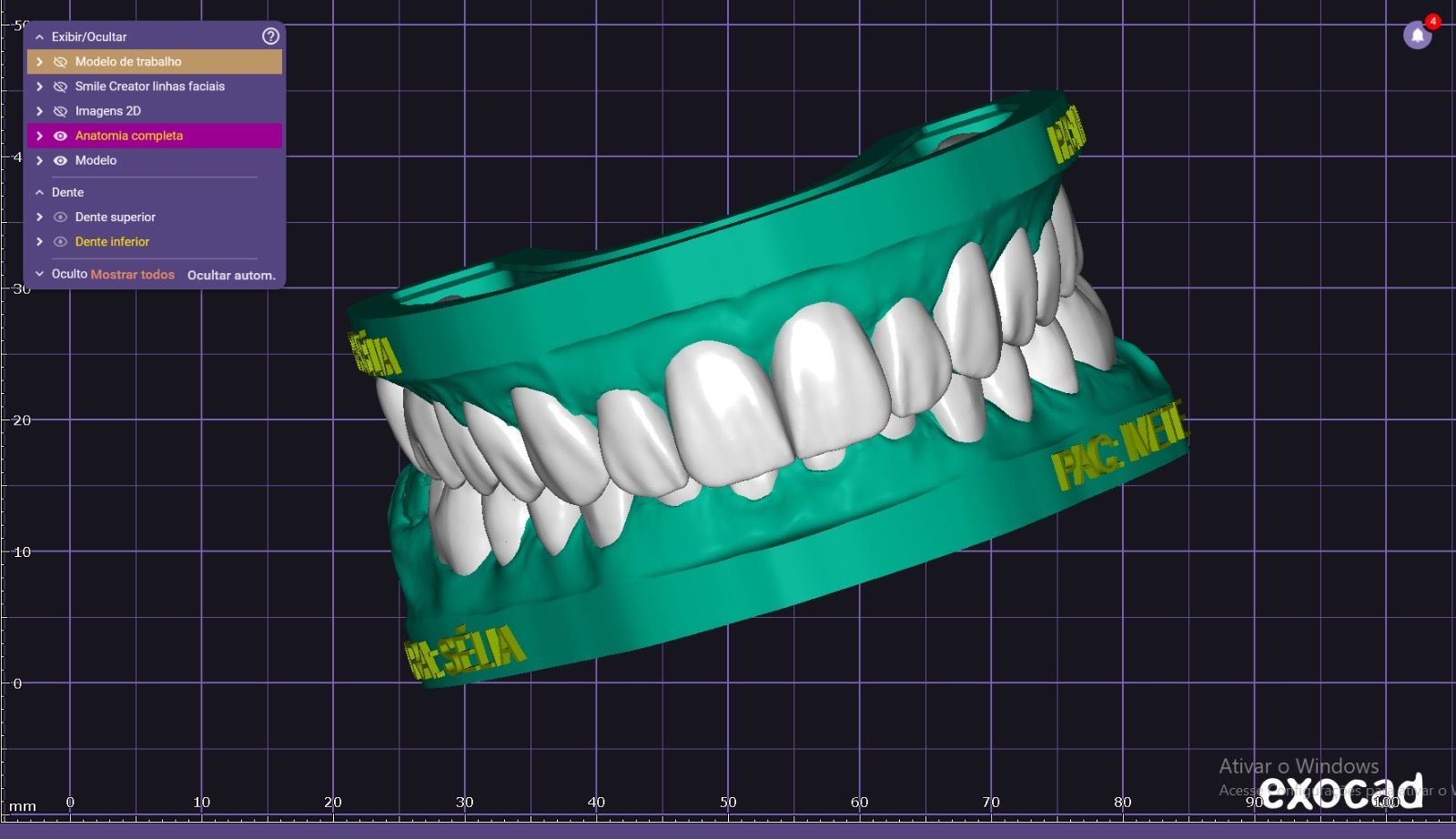 Trabalho de Lizi Albuquerque na Bypflow